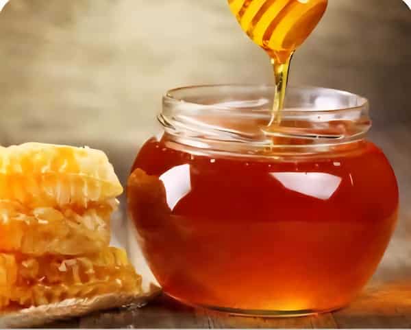 تصویر 2 از خرید عسل کندو هانیوا باقیمت باورنکردنی
